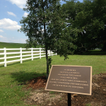 Paul J. Ramsay Bronze Plaque