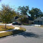 Forest Creek Subdivision - Beautyberry Dr. & Buttonbush Dr. Street Signs Photo - Greater Baton Rouge Signs